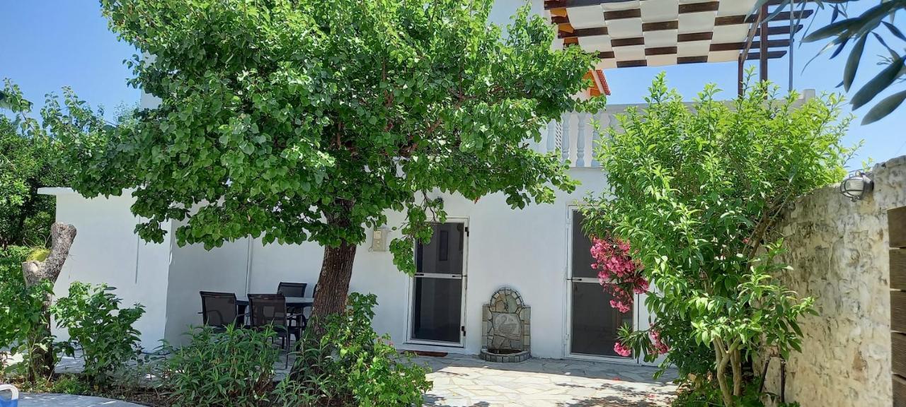 Kypseli Villa Beloussi Zakynthos מראה חיצוני תמונה